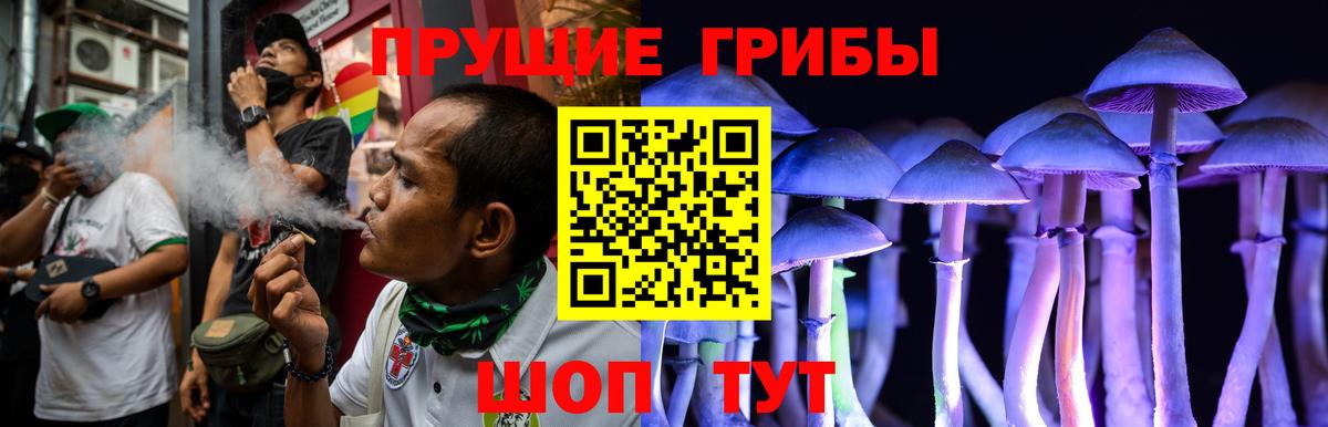 Сорочинск  Галлюциногенные грибы ЛСД  Вход с VPN 