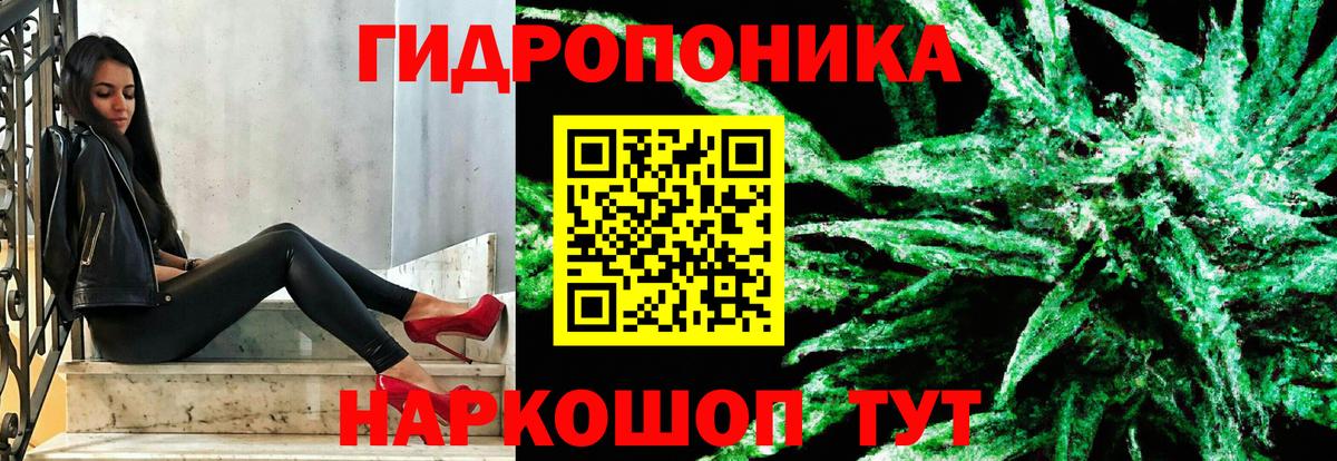 Каннабис White Widow  Конопля гибрид  Сорочинск  Вход с VPN  Марихуана Ganja  Шишки марихуана OG Kush 